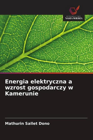 Energia elektryczna a wzrost gospodarczy w Kamerunie