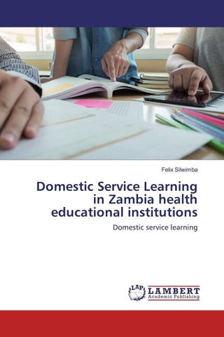 Domestic Service Learning in Zambia health educational institutions