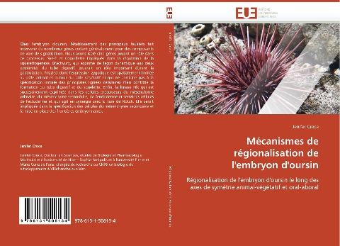 Mécanismes de régionalisation de l''embryon d''oursin