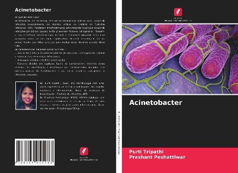 Acinetobacter