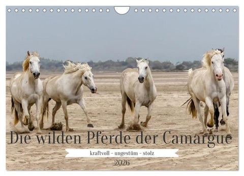 Die wilden Pferde der Camargue (Wandkalender 2026 DIN A4 quer), CALVENDO Monatskalender
