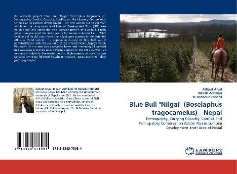 Blue Bull "Nilgai" (Boselaphus tragocamelus) - Nepal
