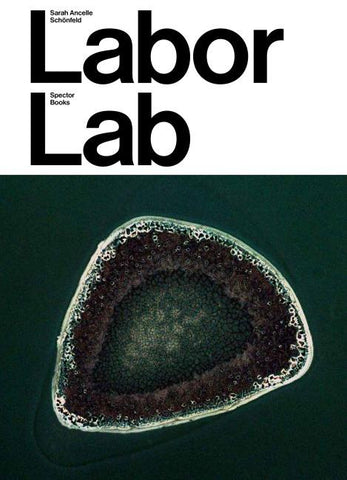 Sarah Ancelle Schönfeld: Labor Lab