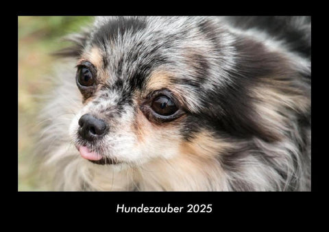 Hundezauber 2025 Fotokalender DIN A3