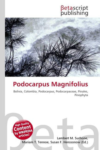 Podocarpus Magnifolius