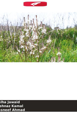 Efeito anti-hiperlipidémico da planta inteira Asphodelus fistulosus linn.