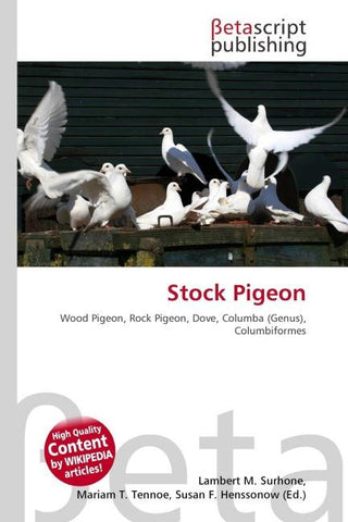 Stock Pigeon