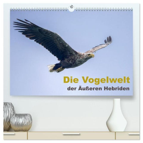 Die Vogelwelt der Äußeren Hebriden (hochwertiger Premium Wandkalender 2026 DIN A2 quer), Kunstdruck in Hochglanz