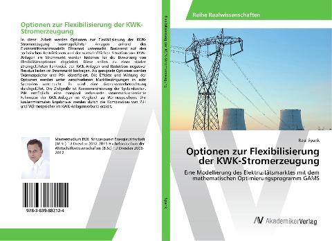 Optionen zur Flexibilisierung der KWK-Stromerzeugung