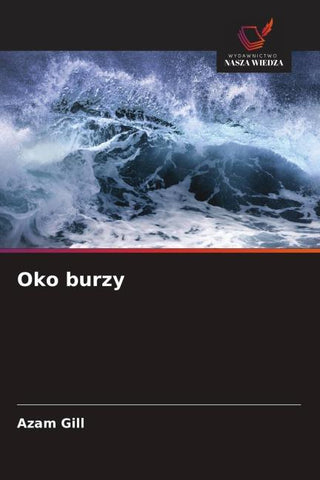 Oko burzy