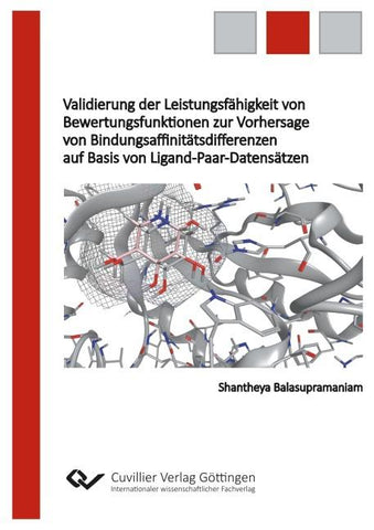 Validierung der Leistungsfähigkeit von Bewertungsfunktionen zur Vorhersage von Bindungsaffinitätsdifferenzen auf Basis von Ligand-Paar-Datensätzen