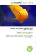 Fish Anatomy