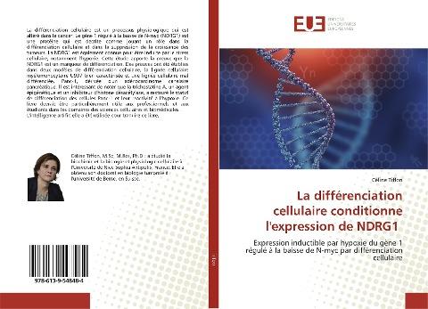 La différenciation cellulaire conditionne l'expression de NDRG1
