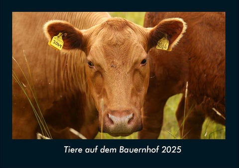 Tiere auf dem Bauernhof 2025 Fotokalender DIN A4