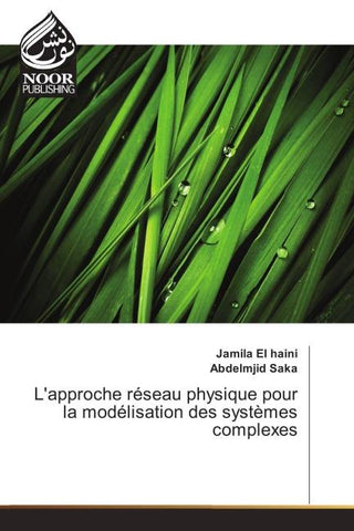 L'approche réseau physique pour la modélisation des systèmes complexes