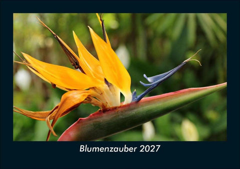 Blumenzauber 2027 Fotokalender DIN A5