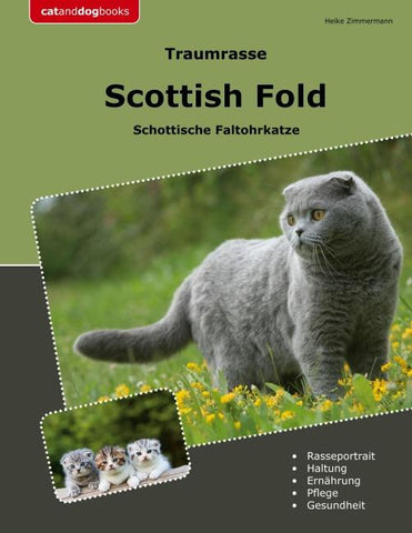Traumrasse Scottish Fold