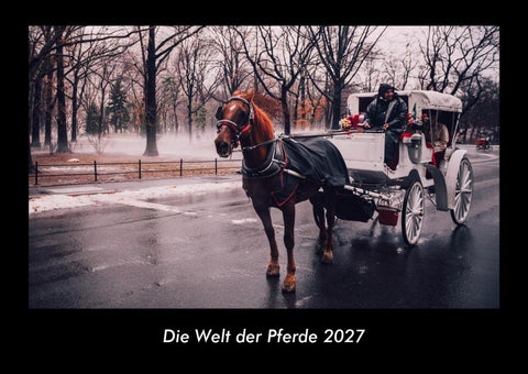 Die Welt der Pferde 2027 Fotokalender DIN A3
