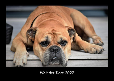 Welt der Tiere 2027 Fotokalender DIN A3