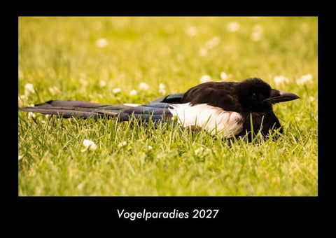 Vogelparadies 2027 Fotokalender DIN A3