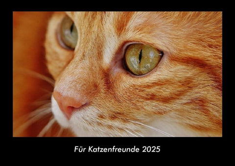 Für Katzenfreunde 2025 Fotokalender DIN A3