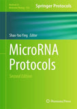 MicroRNA Protocols