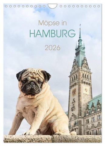 Möpse in Hamburg (Wandkalender 2026 DIN A4 hoch), CALVENDO Monatskalender