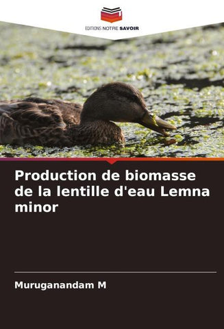 Production de biomasse de la lentille d'eau Lemna minor