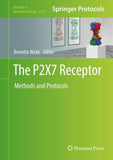 The P2X7 Receptor