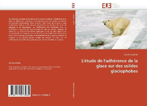 L''étude de l''adhérence de la glace sur des solides glaciophobes
