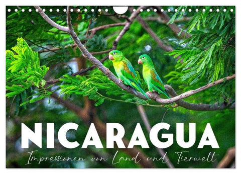 Nicaragua - Impressionen von Land und Tierwelt. (Wandkalender 2026 DIN A4 quer), CALVENDO Monatskalender