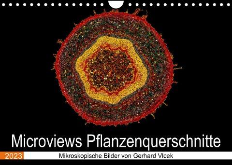 Microviews - Pflanzenquerschnitte (Wandkalender 2023 DIN A4 quer)