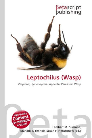 Leptochilus (Wasp)