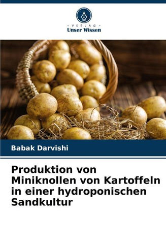 Produktion von Miniknollen von Kartoffeln in einer hydroponischen Sandkultur