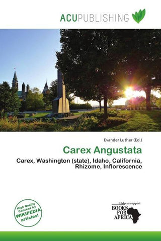 Carex Angustata