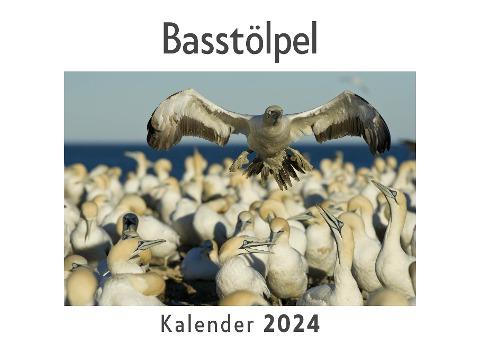 Basstölpel (Wandkalender 2024, Kalender DIN A4 quer, Monatskalender im Querformat mit Kalendarium, Das perfekte Geschenk)