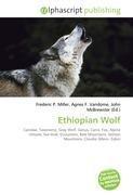 Ethiopian Wolf
