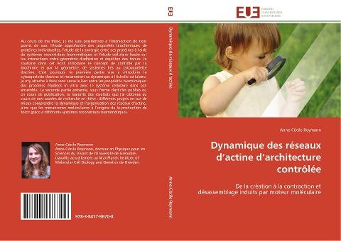 Dynamique des réseaux d'actine d'architecture contrôlée