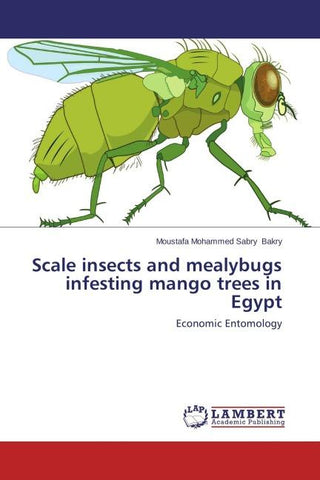 Scale insects and mealybugs infesting mango trees in Egypt