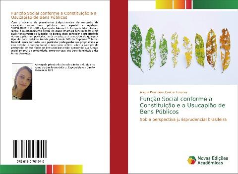Função Social conforme a Constituição e a Usucapião de Bens Públicos