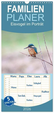 Familienplaner 2026 - Eisvogel im Porträt mit 5 Spalten (Wandkalender, 21 x 45 cm) CALVENDO