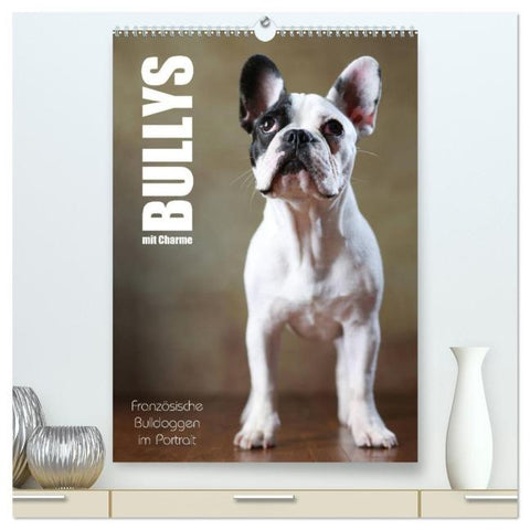 Bullys mit Charme - Französische Bulldoggen im Portrait (hochwertiger Premium Wandkalender 2026 DIN A2 hoch), Kunstdruck in Hochglanz