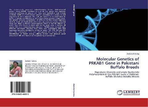 Molecular Genetics of PRKAB1 Gene in Pakistani Buffalo Breeds