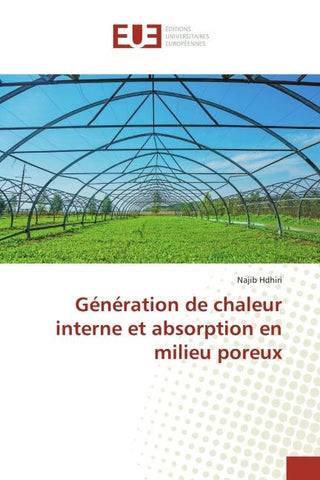 Génération de chaleur interne et absorption en milieu poreux