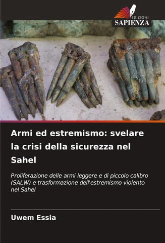 Armi ed estremismo: svelare la crisi della sicurezza nel Sahel