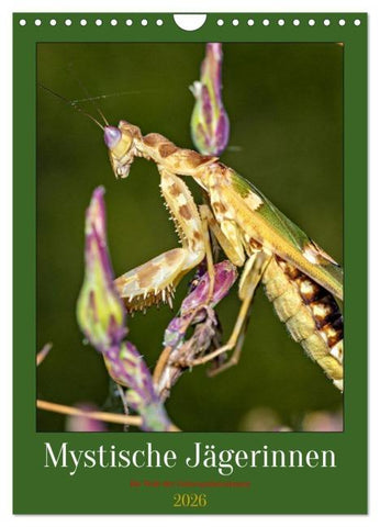 Mystische Jägerinnen (Wandkalender 2026 DIN A4 hoch), CALVENDO Monatskalender
