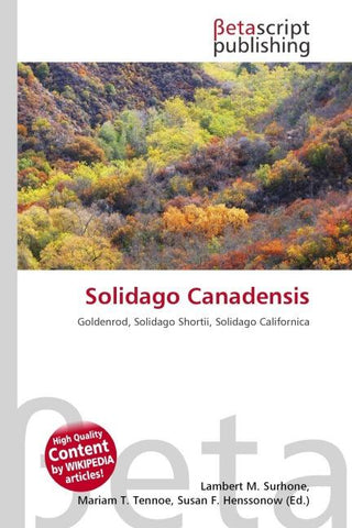 Solidago Canadensis