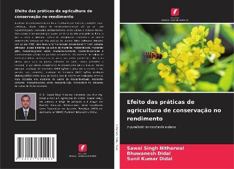 Efeito das práticas de agricultura de conservação no rendimento