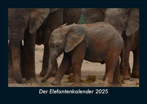 Der Elefantenkalender 2025 Fotokalender DIN A5