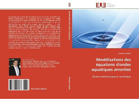 Modélisations des équations d'ondes aquatiques amorties